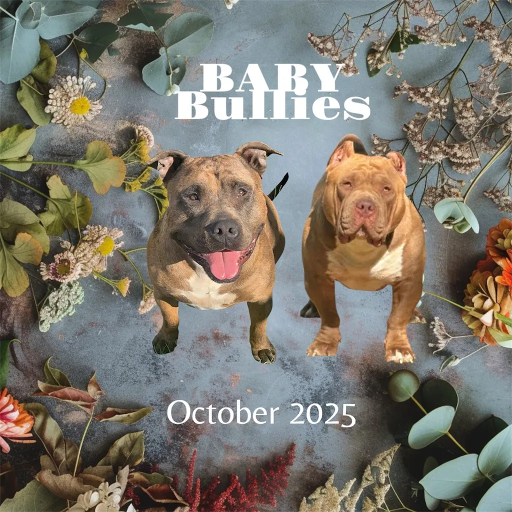 Portée TaÏro & Luna